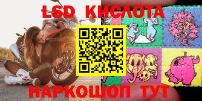 шишки Балашиха