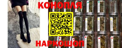 шишки Балашиха