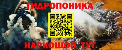 шишки Балашиха