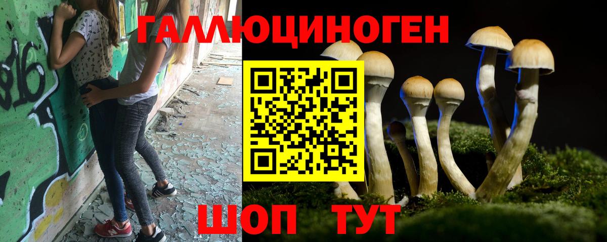 Гусиноозёрск  Галлюциногенные грибы прущие грибы  Вход с VPN 